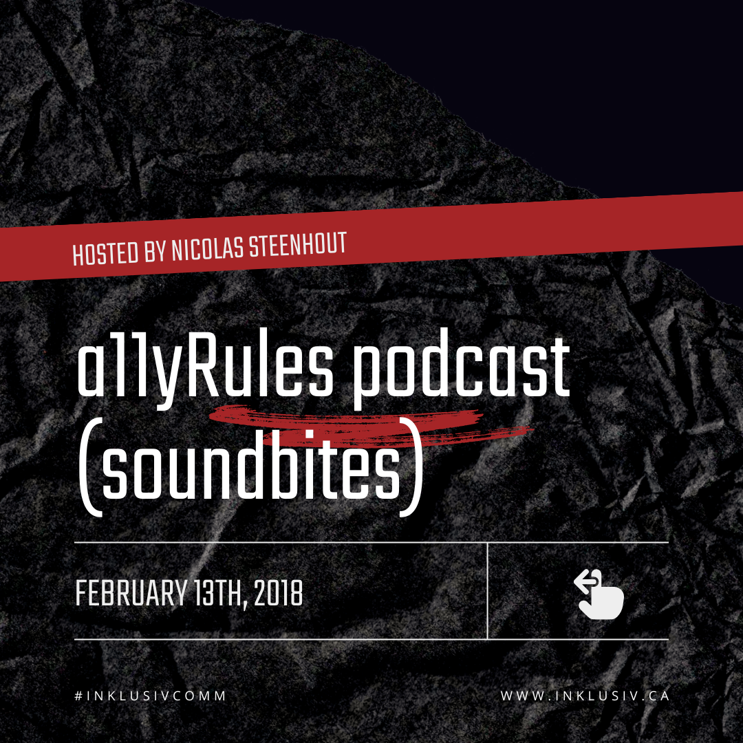 a11yRules soundbites with Nic Steenhout - February 13th, 2018